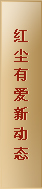 红尘有爱动态